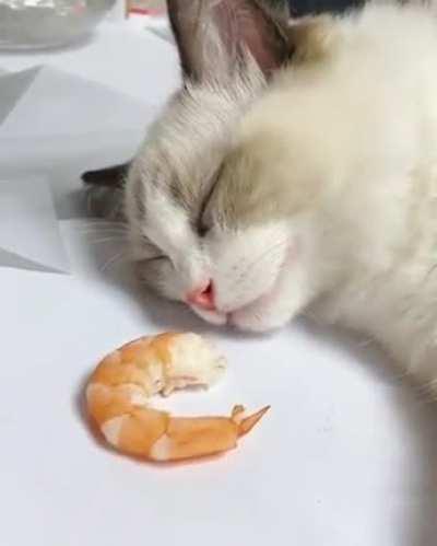 WAS JUST DREAMING ABOUT THIS!