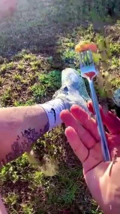 bacağa batırdığında bir tuhaf oldum