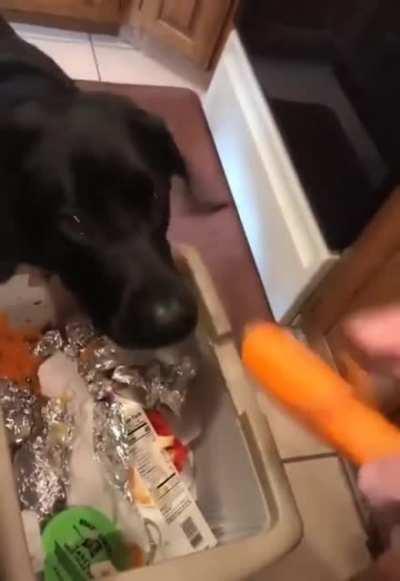 Ноль отходов