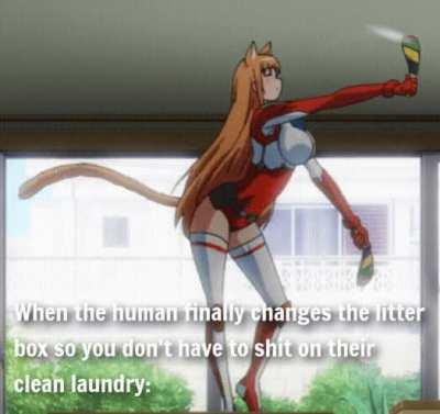 I got the hint you fur ball