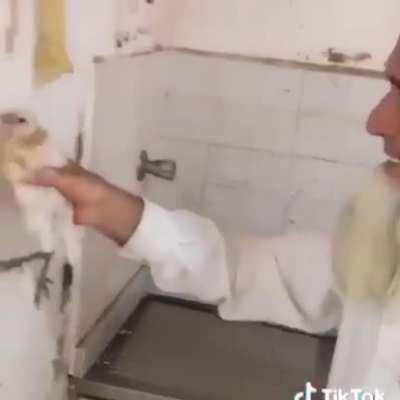 Fly catching machine