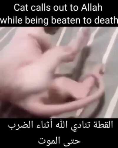 اساس من الصحة العامة والسكان لولاية🙏🕋