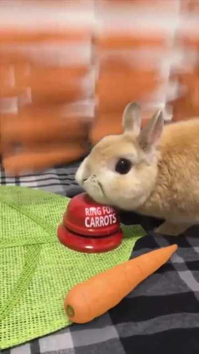 blursed classical conditioning