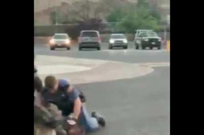 Cop gets fog to bite man who is pinned down.