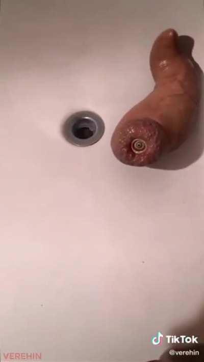 Whatever the fuck this is...