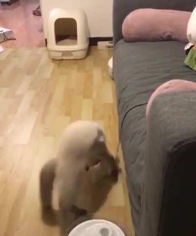 GET IT OFF!!! (u/cyan1618)