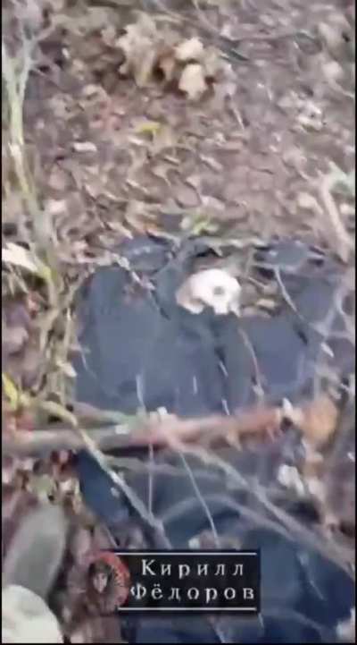 Ukrainian casualties filmed by Russians near the border between Ukraine and the Kursk People's Republic 