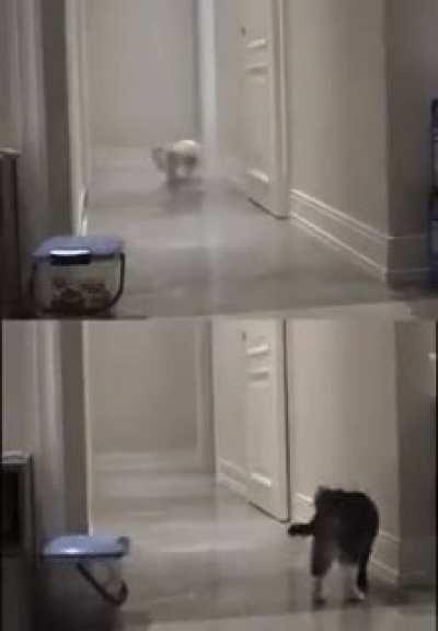 Moewmories make us die inside...