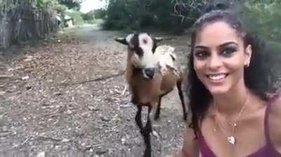 To be a Disney Princess.