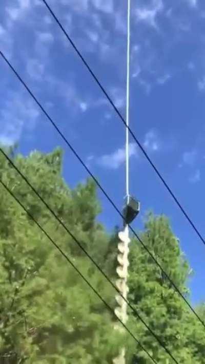 What could possibly go wrong?