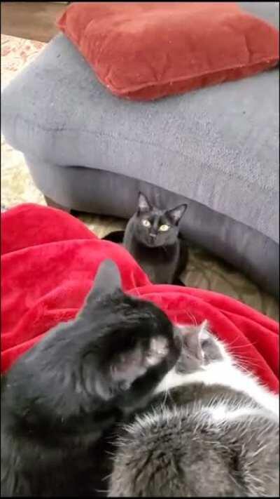 Can't believe you are doing this in front of me