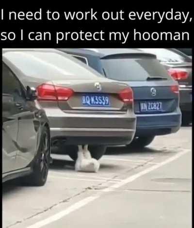 its time to start losing weight