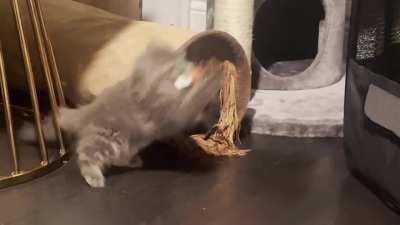 The greebles aren’t taking his mouse (crab exit)