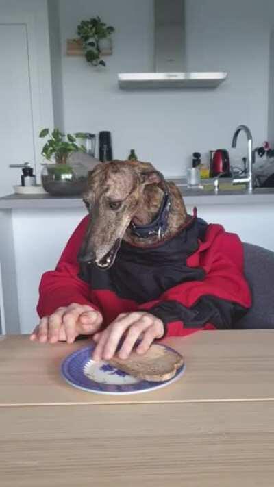 Rumba was hungry this morning