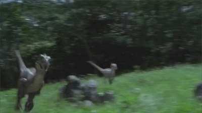 I know this might not happen but I really want the raptors running animation to look like this