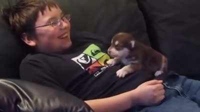 featuring that baby vibrato