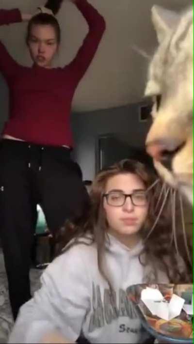 Who are these girls?