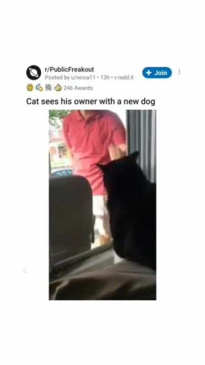 AAAAA AAAAA AAAAA AAAAA