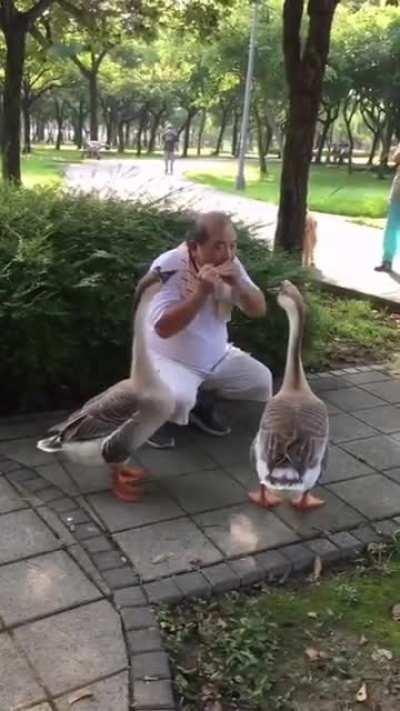 Listen to music - Daan Forest Park in Taipei, Taiwan.