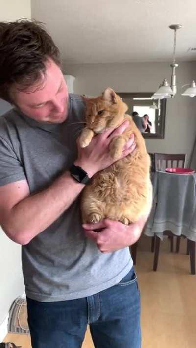 I hope this jiggly little belly dance helps you have a good day!