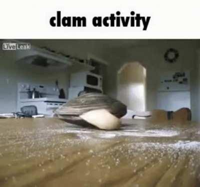 hello my fellow clamsmen