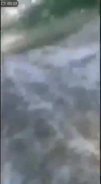 I wonder what has Victor done this time