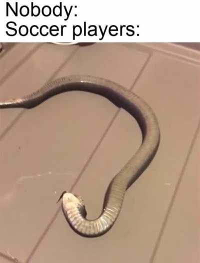 snek ded