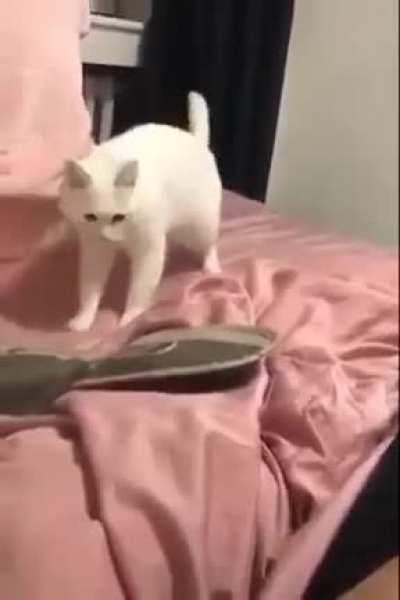 Just go with the beat