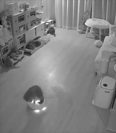 My cleaning company on the night shift