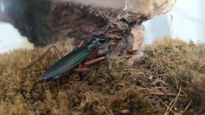 Better luck next time!