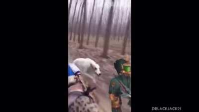 Not a WW main but I think you guys will like this.