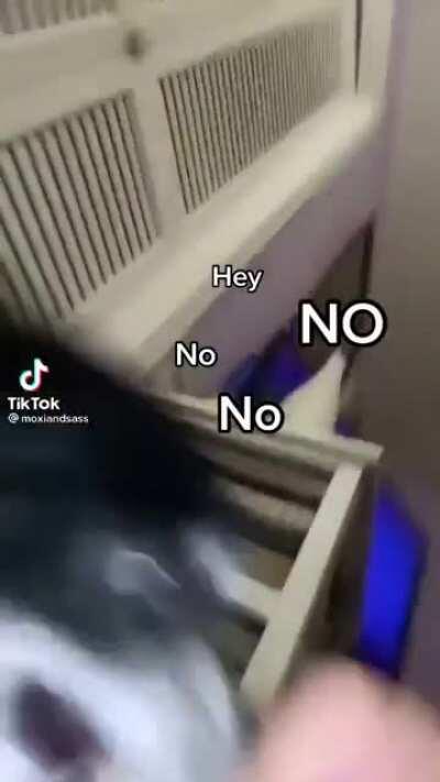 OWA OWA MOTHERFUCKER