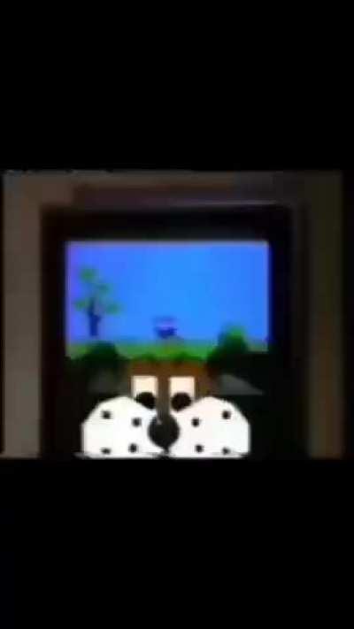 I ❤️ a good lobotomy 