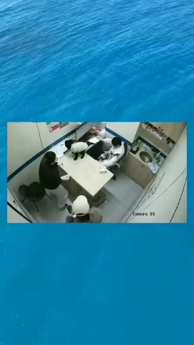 Fuck this veterinary in particular 