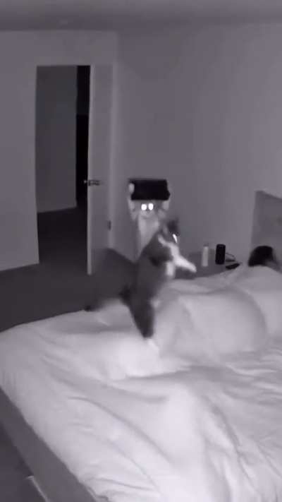3 am