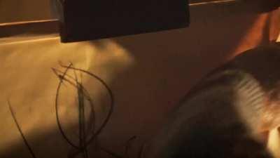 Emilia Clarke - ‘Voice From The Stone’ (2017)