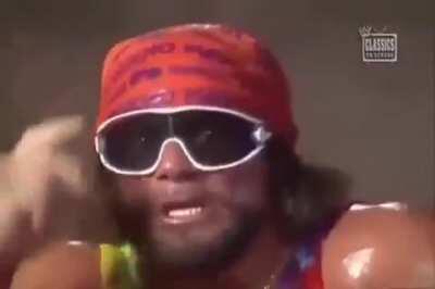 Macho Man is about to lose it caw caw