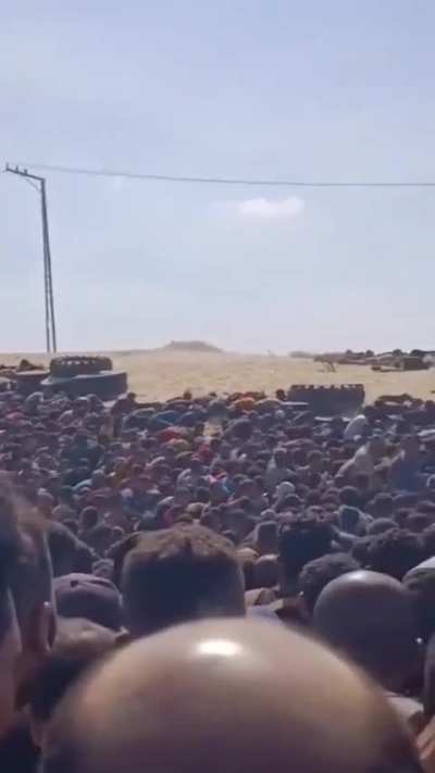 A Scene from the alpocalypse