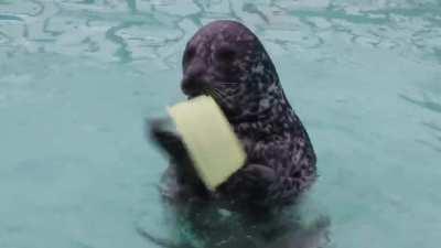 Hand drum @Gacchirika