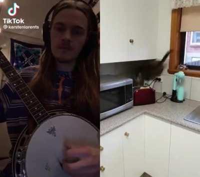banjo