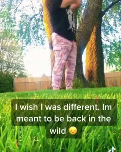 Imagine Looking in Your Neighbor’s Backyard and Seeing This