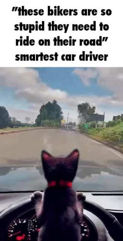 i swear bro average car driver is so fucking stupid