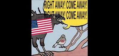 Imagine being confederate