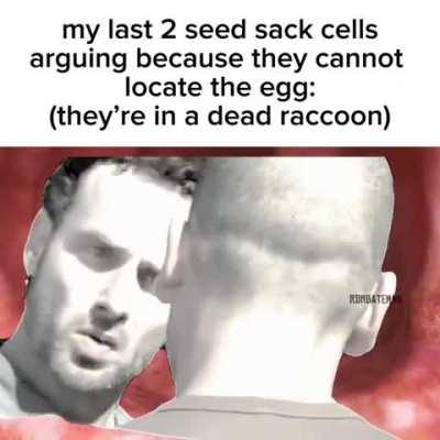 We all make mistakes in the heat of passion 