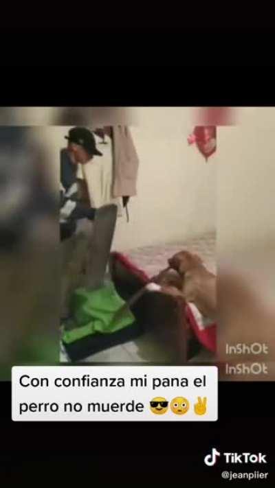 El perro machete🔪🔪