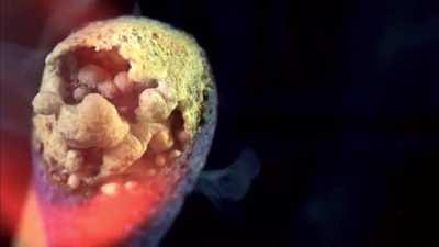 Match ignition at 4,000 frames per second