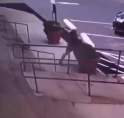 The zombies ate your plant!