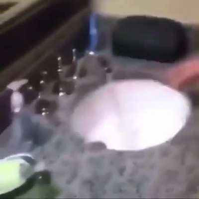 I Can See Ya Heartbeat