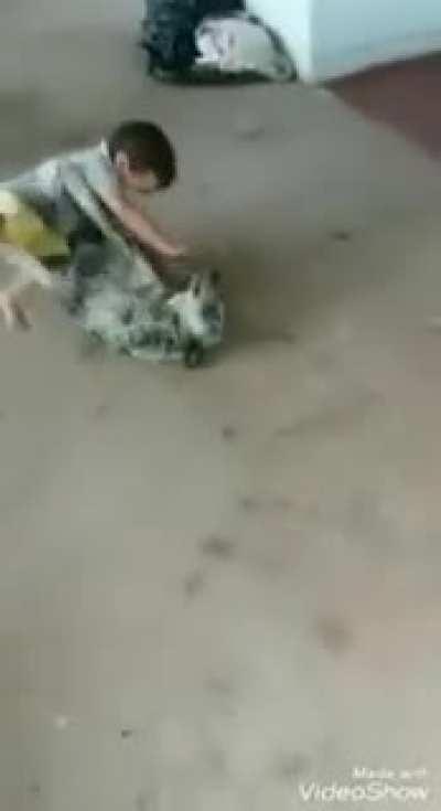 Child gets YEETED by dog