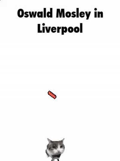 Oswald Mosely sorely misunderstood the term 